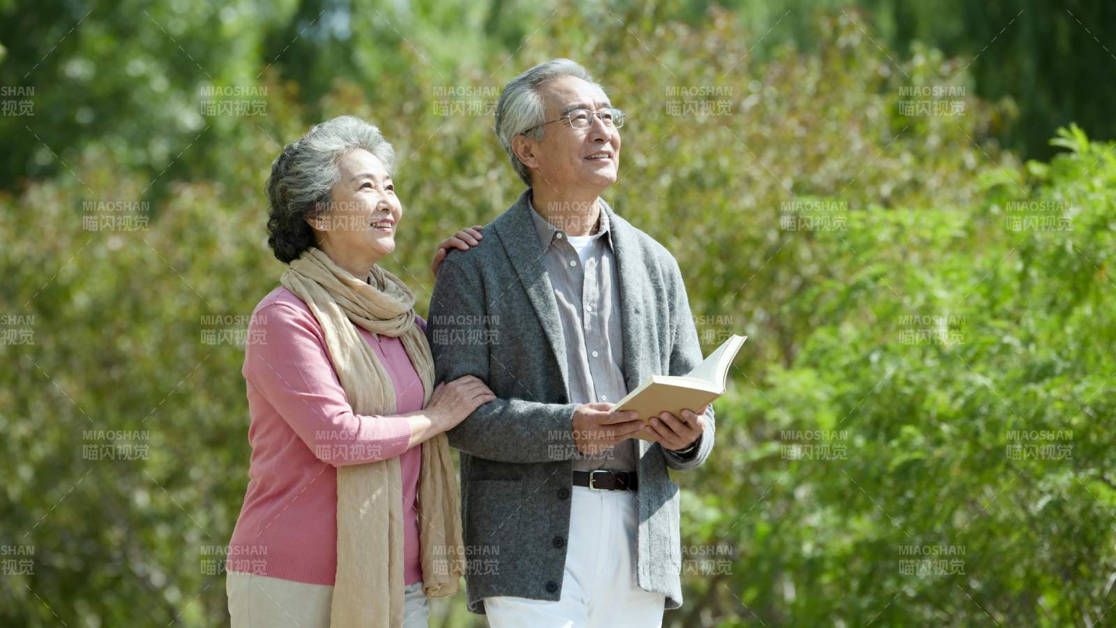 夕阳下的温馨时光图片