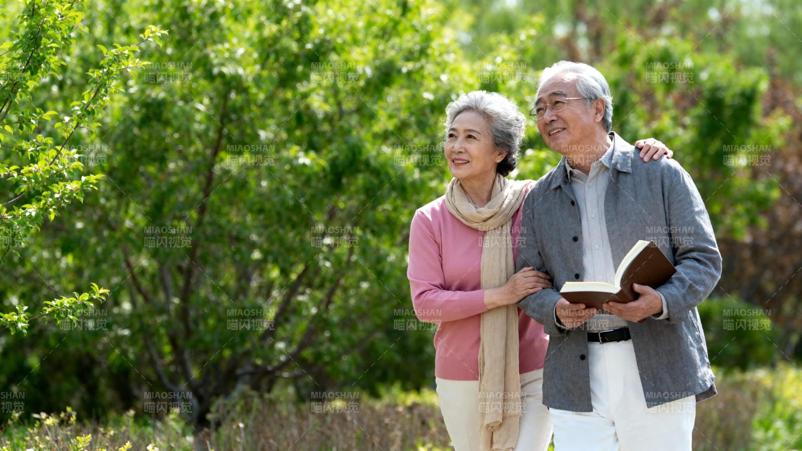 夕阳下的温馨相伴图片