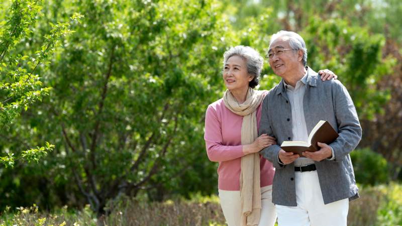 夕阳下的温馨相伴图片