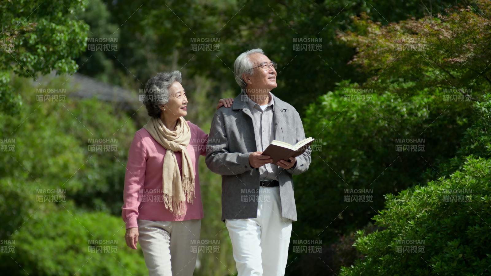 夕阳下的散步时光图片