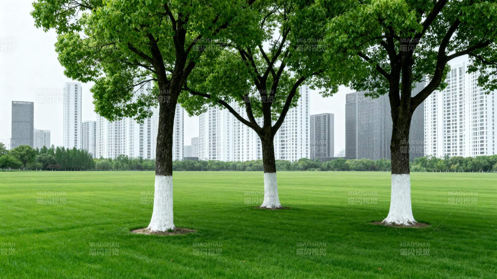 绿树成荫的城市公园图片