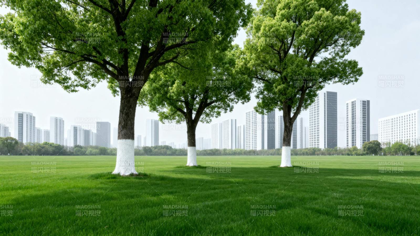 绿树成荫的城市公园图片