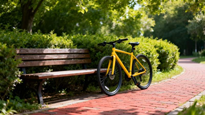 公园里的黄色自行车图片