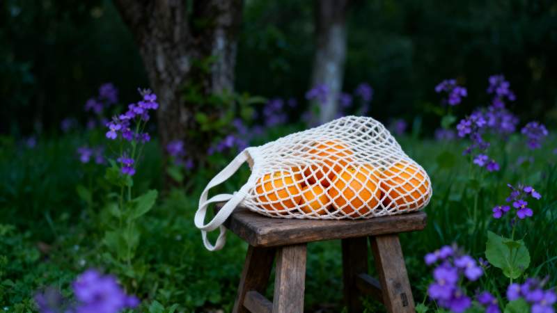 橙香满袋 花间静谧图片