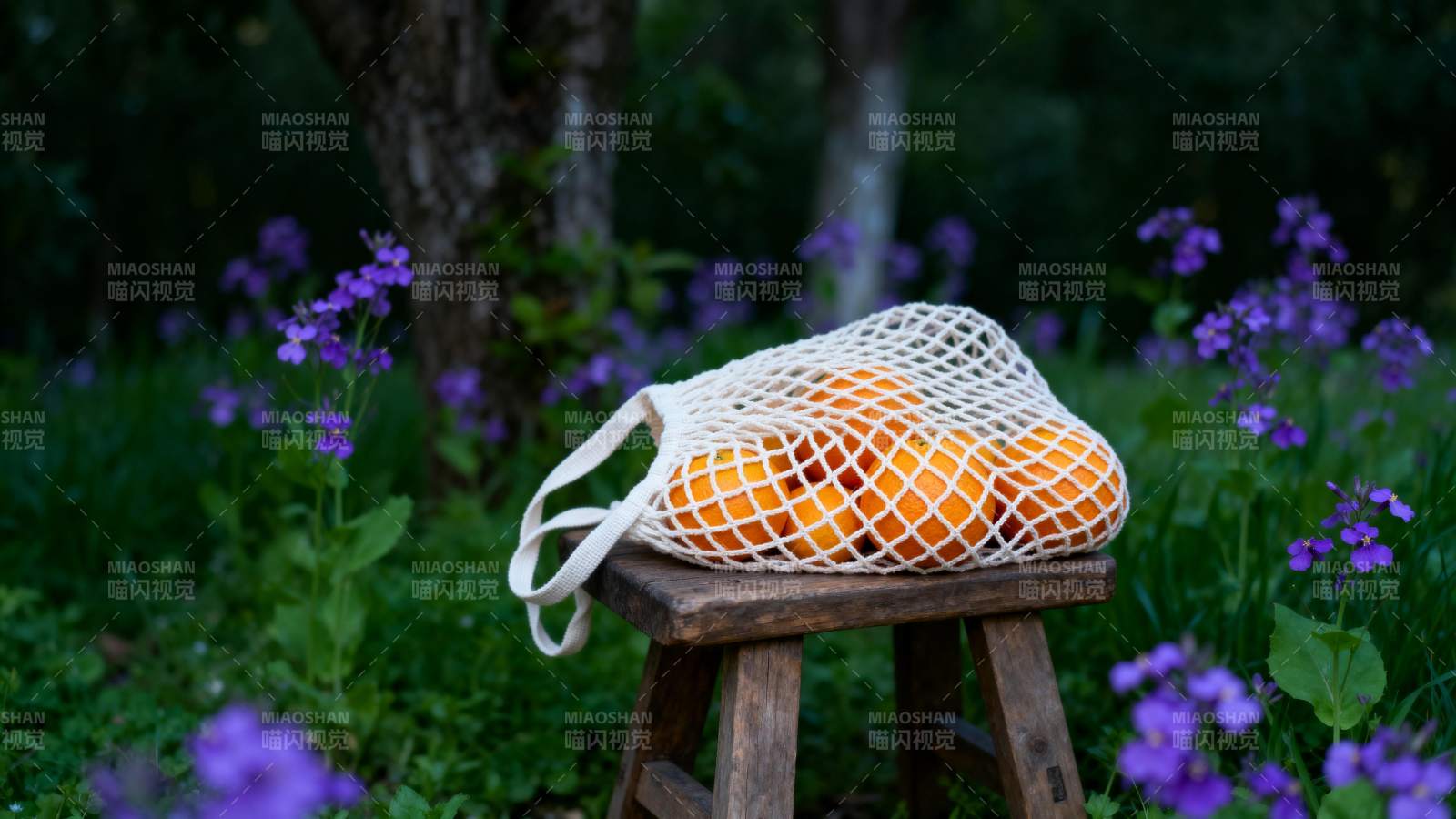 橙香满袋 花间静谧图片