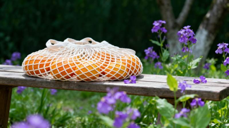 花园里的橙子网袋图片