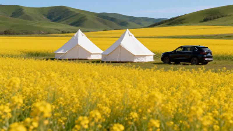 花海中的露营车图片