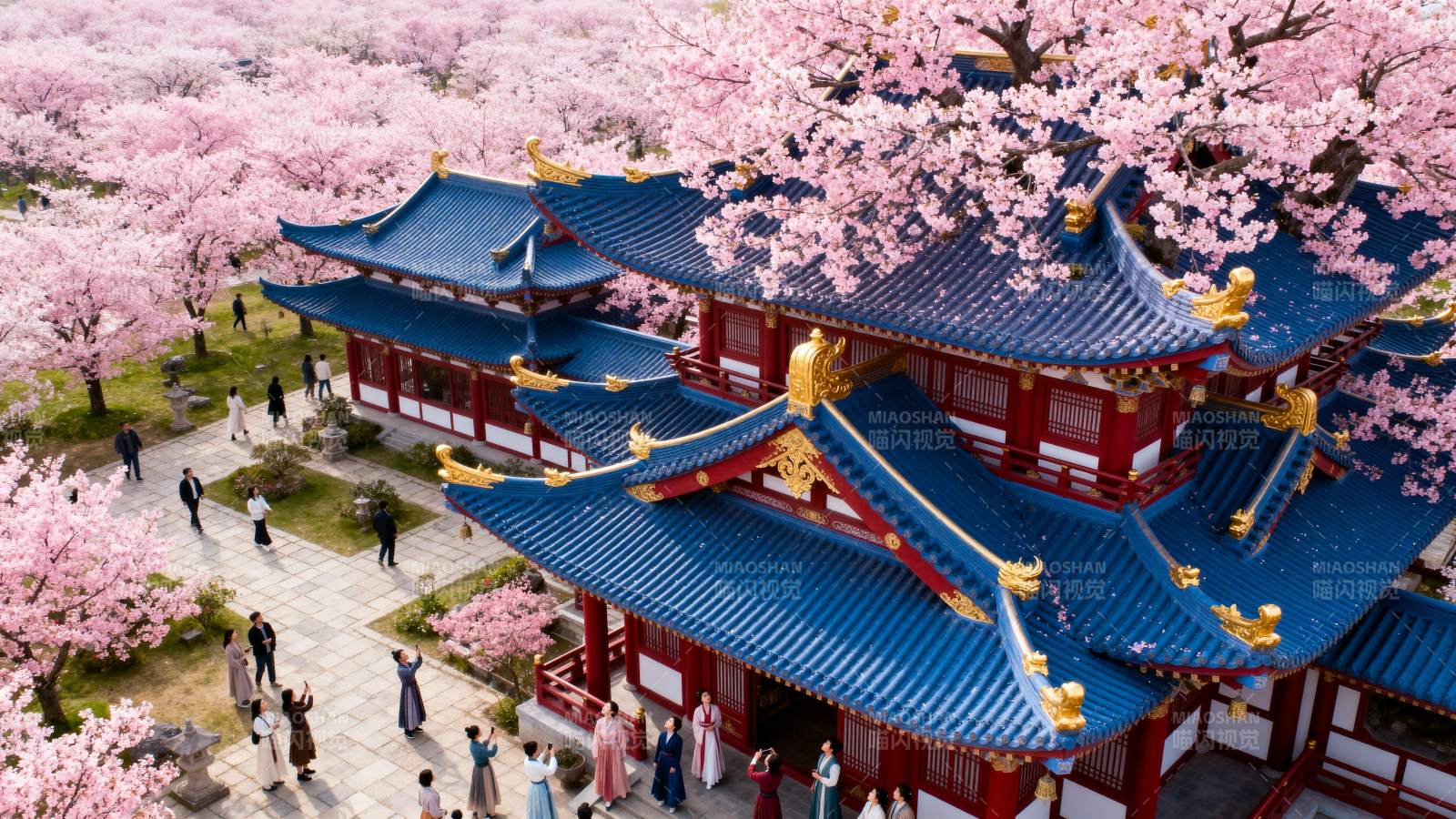 樱花映古殿图片