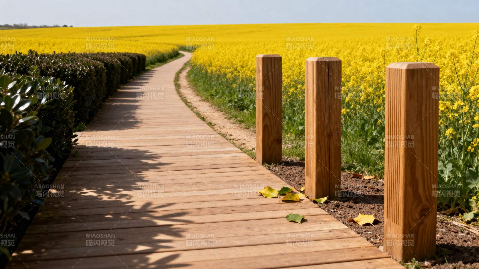木栈道穿花海图片