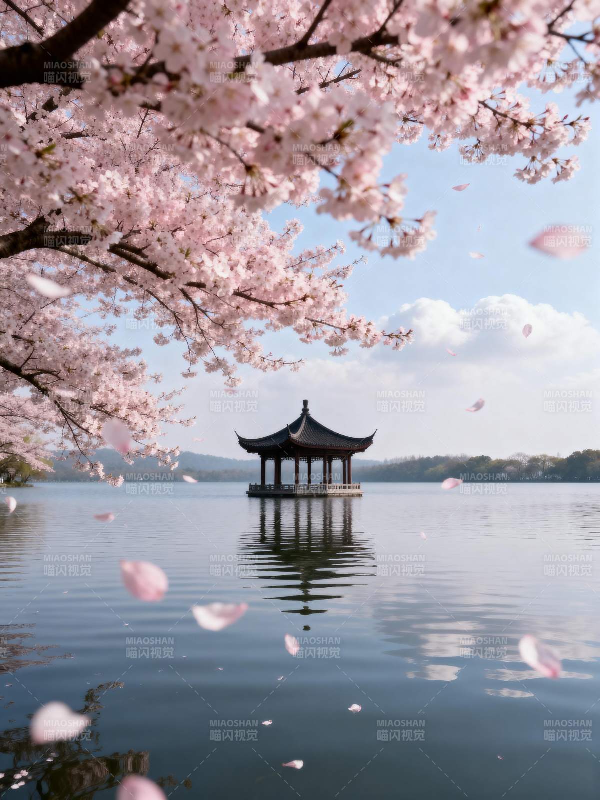 樱花亭影湖光图片