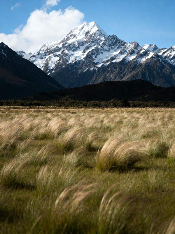 雪山草甸风光图片
