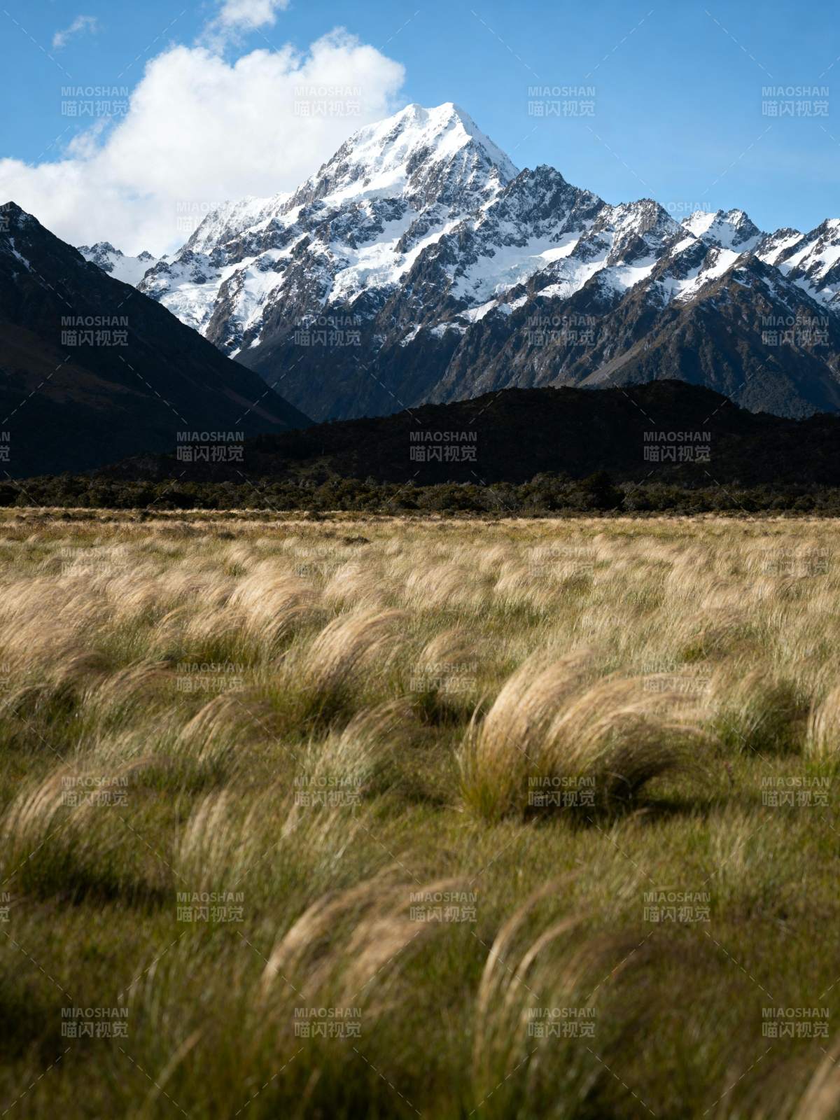 雪山草甸风光图片