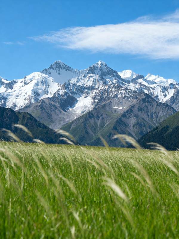 雪山草甸风光图片