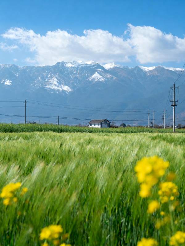 雪山下的田园风光图片