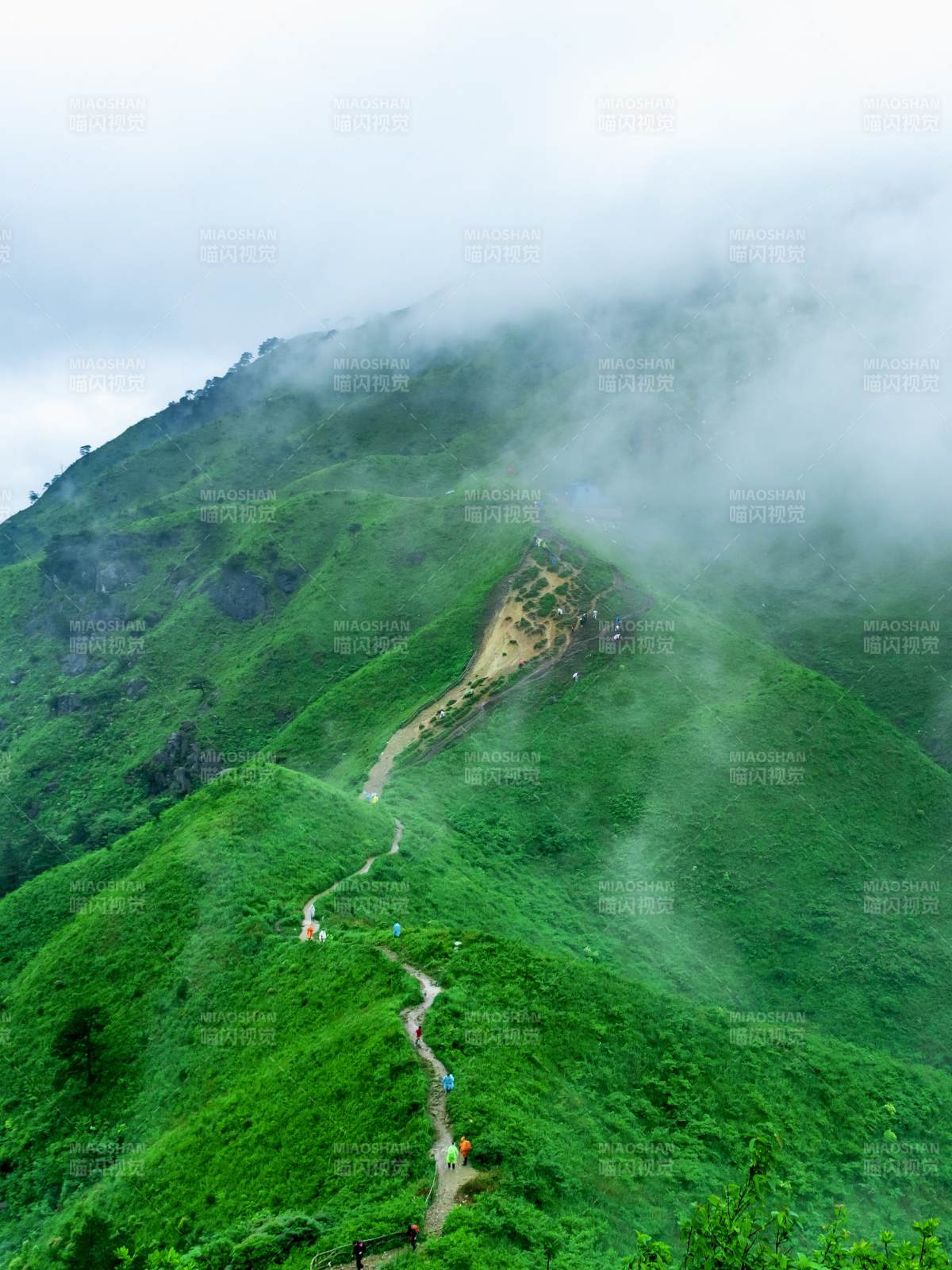 武功山云雾缭绕的山径图片