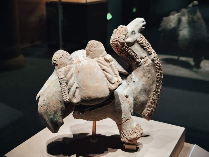 陶骆驼雕塑展 隋图片