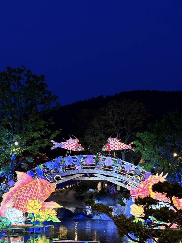 夜桥彩鱼灯影图片