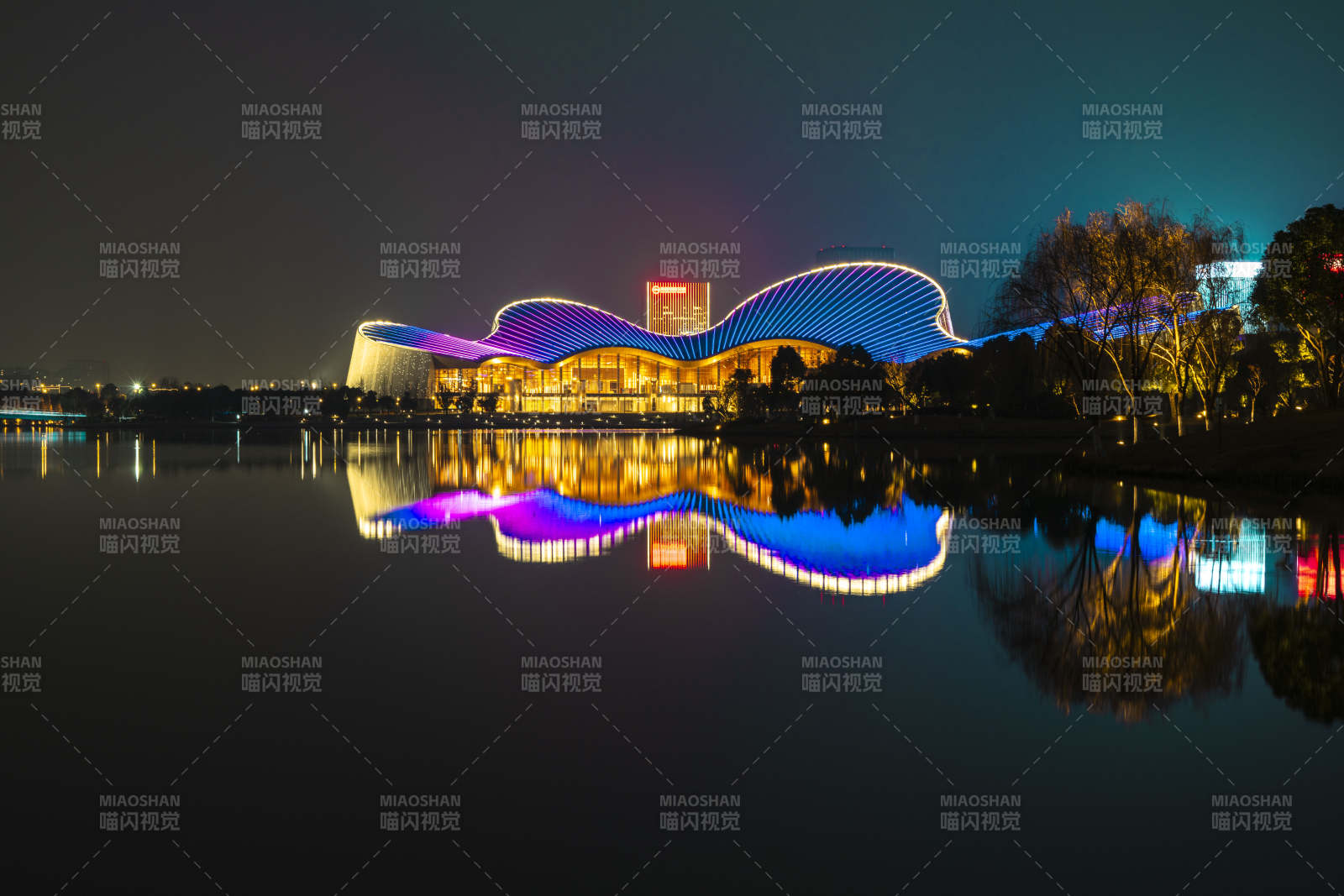 江苏南通紫琅湖大剧院夜景倒影图片
