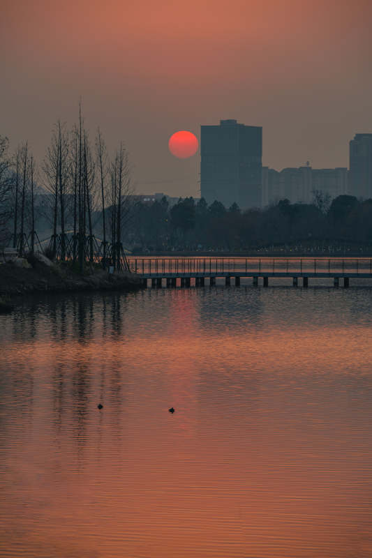 夕阳映湖城图片