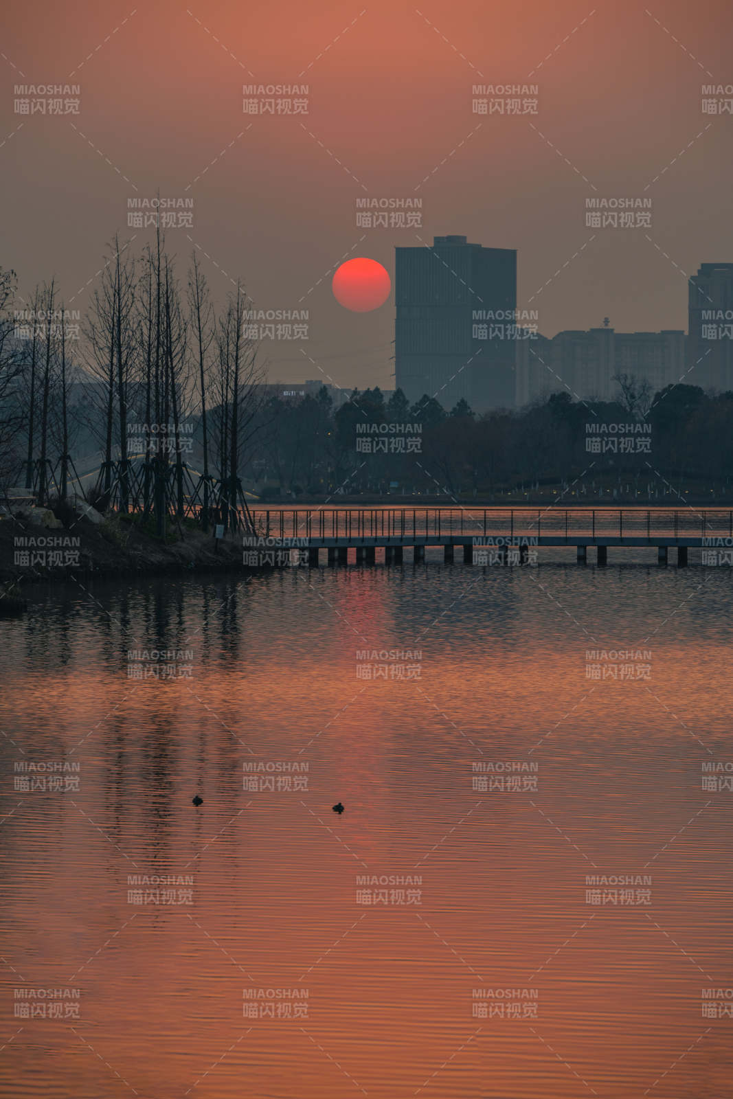 夕阳映湖城图片