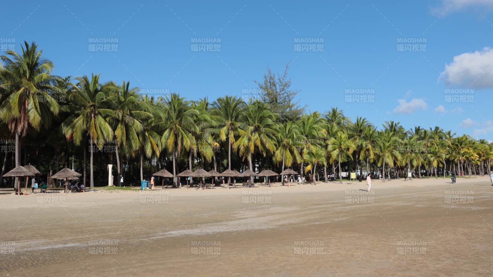 椰林沙滩风光图片