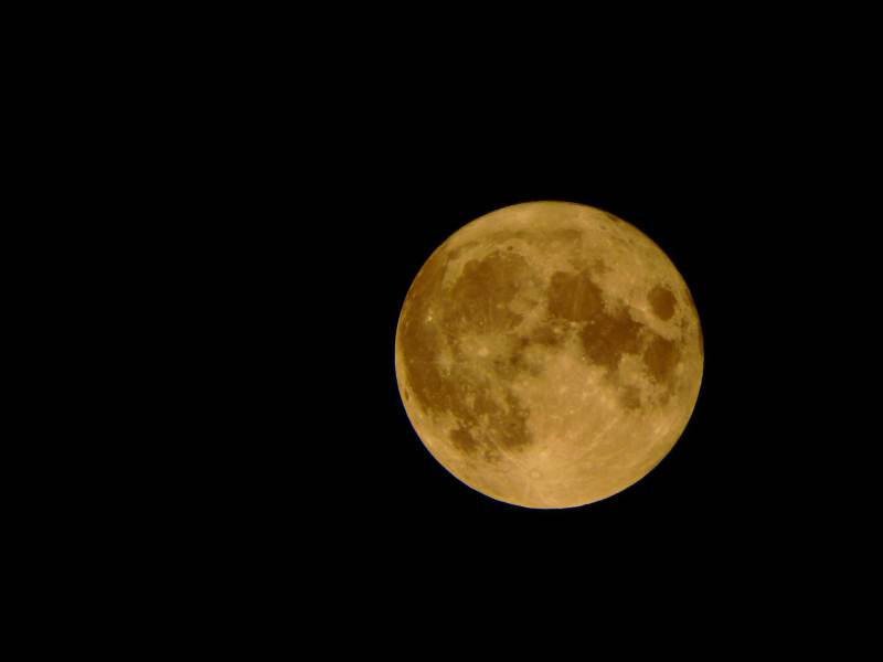 金月悬夜空图片