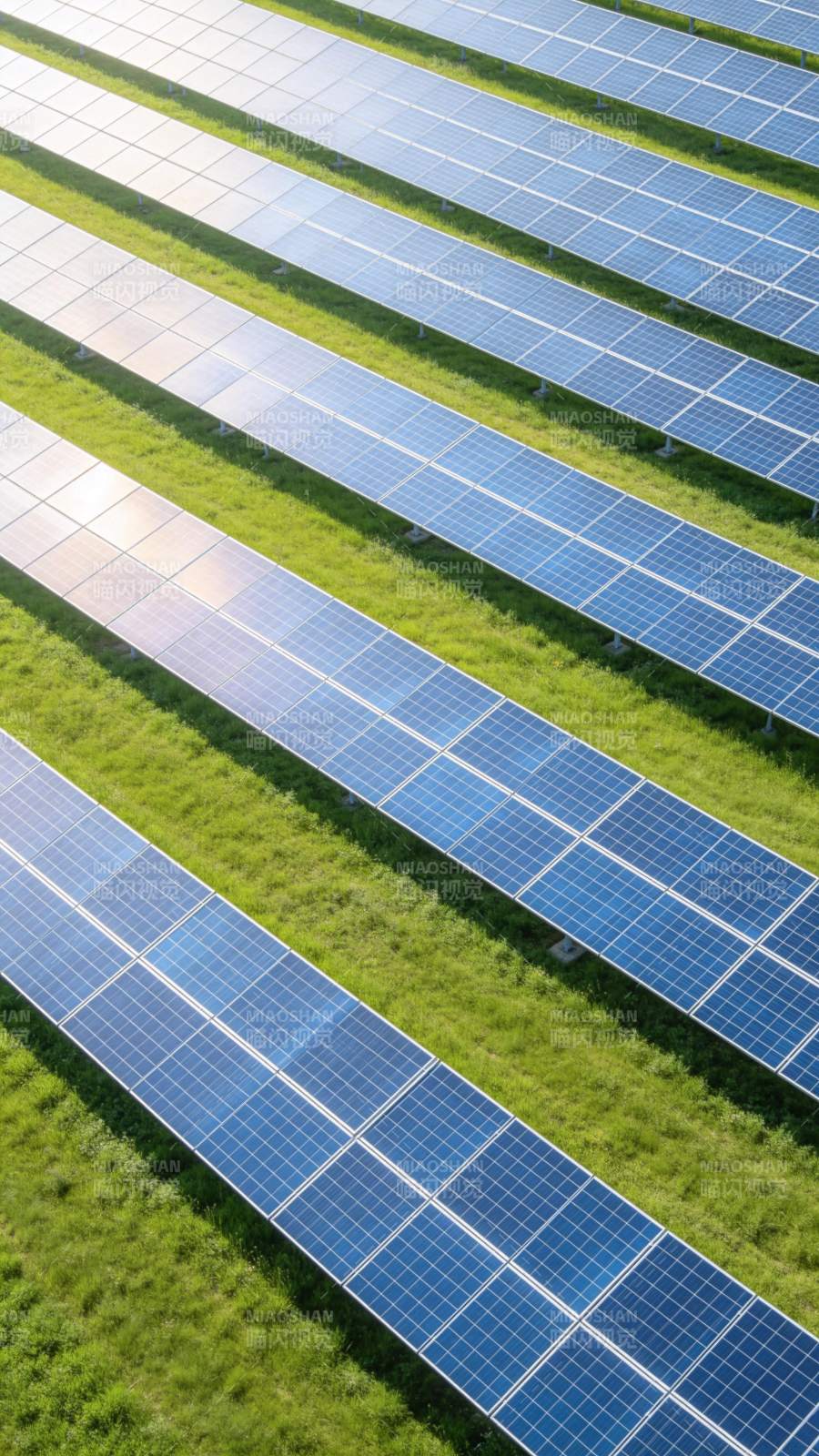 光伏电站绿意盎然图片