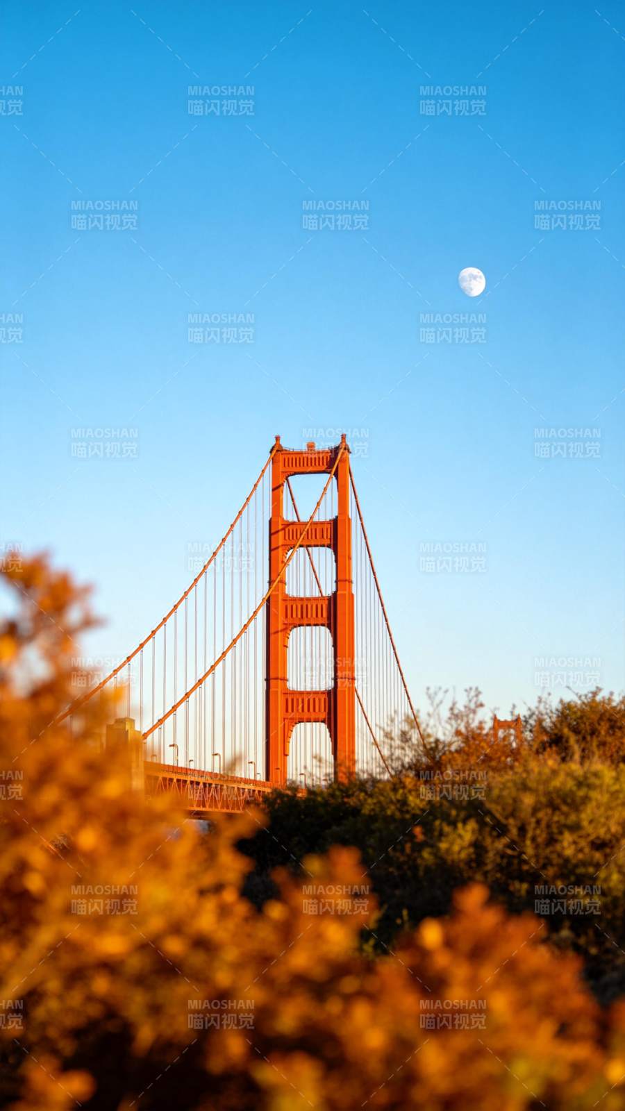 金门大桥月升图片