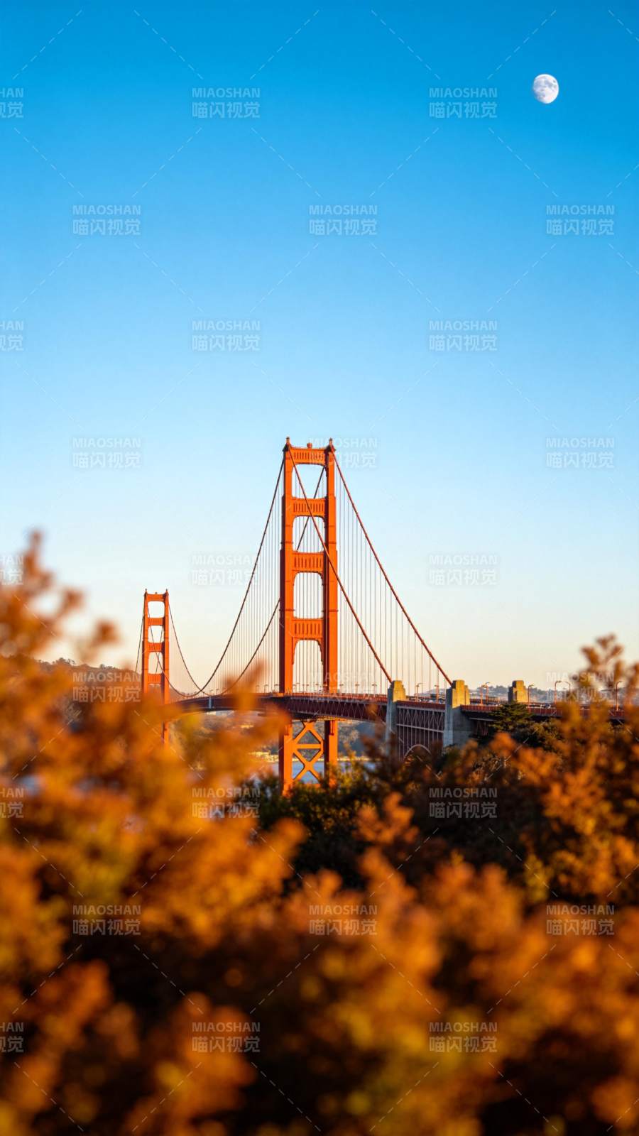 金门大桥在晴空与明月下壮丽呈现图片