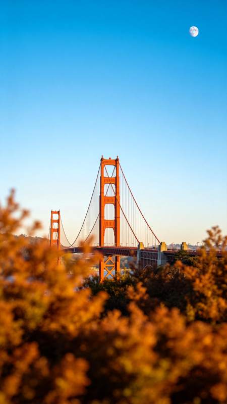 金门大桥在晴空与明月下壮丽呈现图片