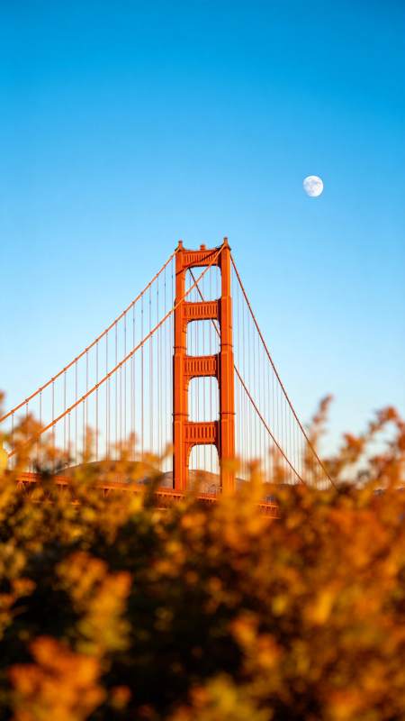 金门大桥月升图图片