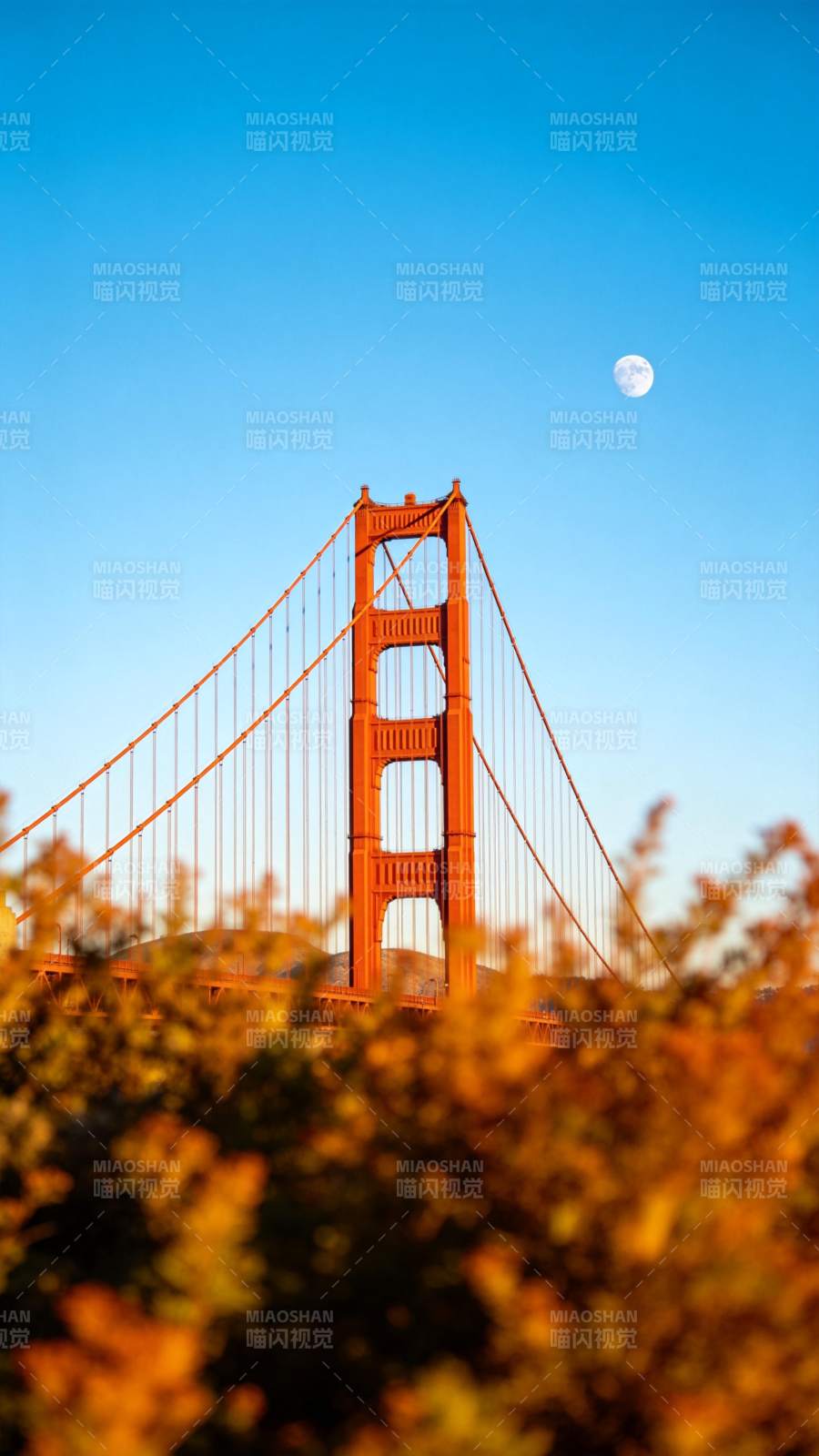 金门大桥月升图图片