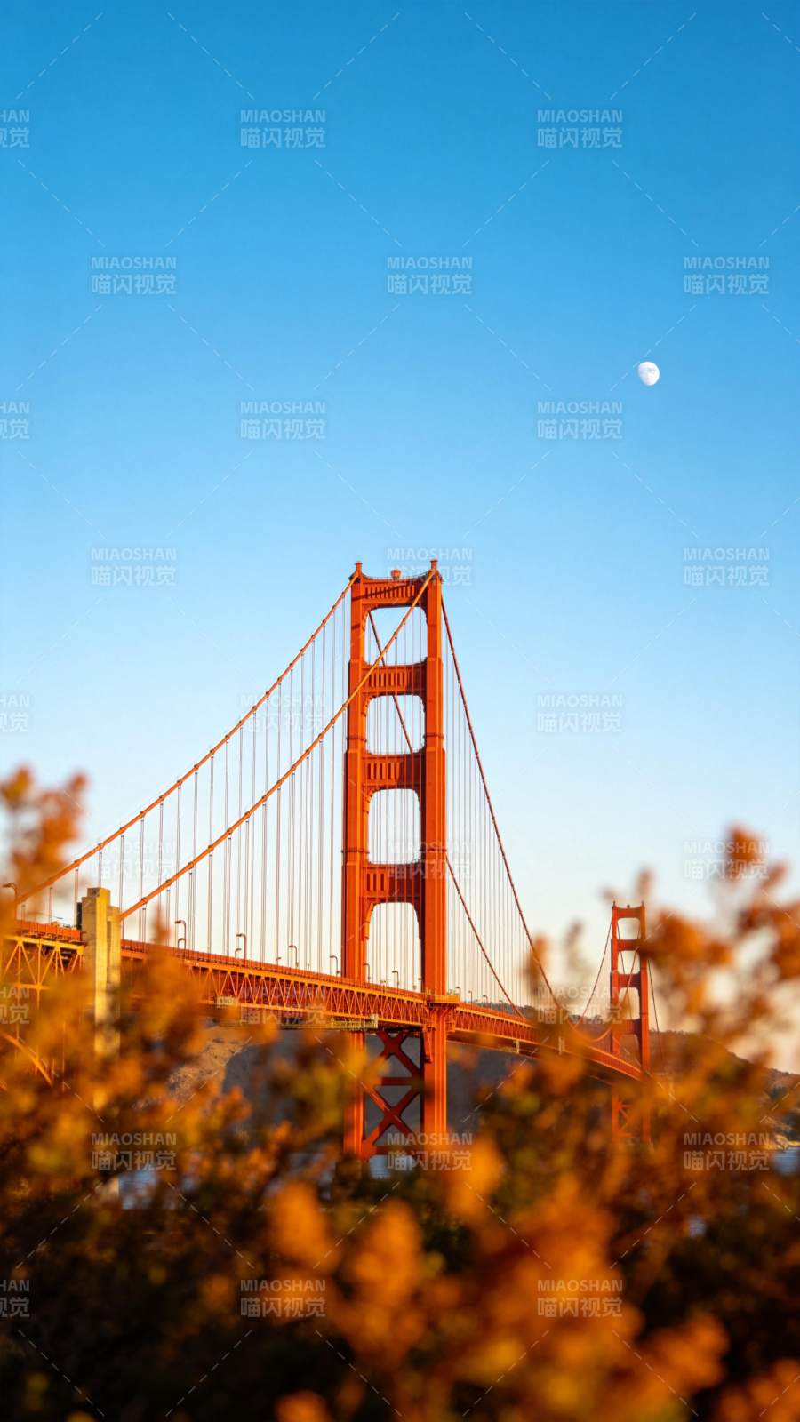 金门大桥月升图片