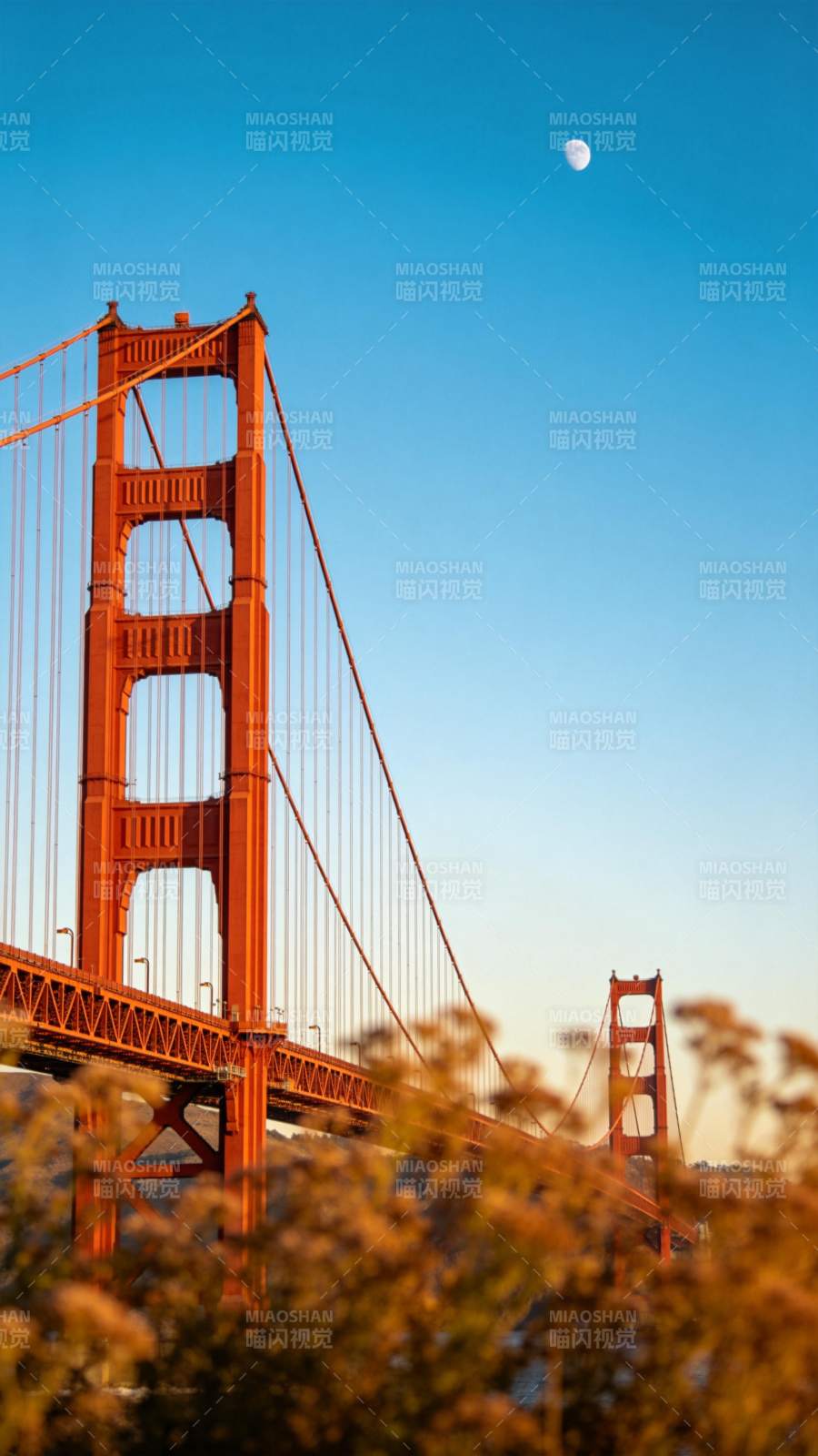 金门大桥塔身与空中明月同框景象图片