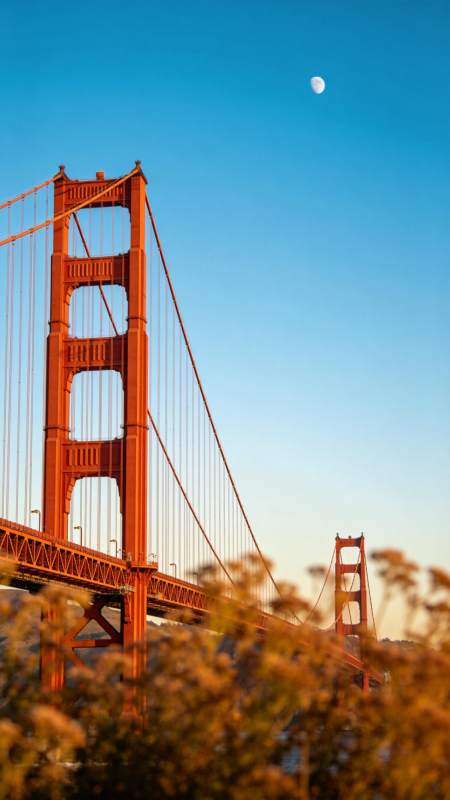 金门大桥塔身与空中明月同框景象图片