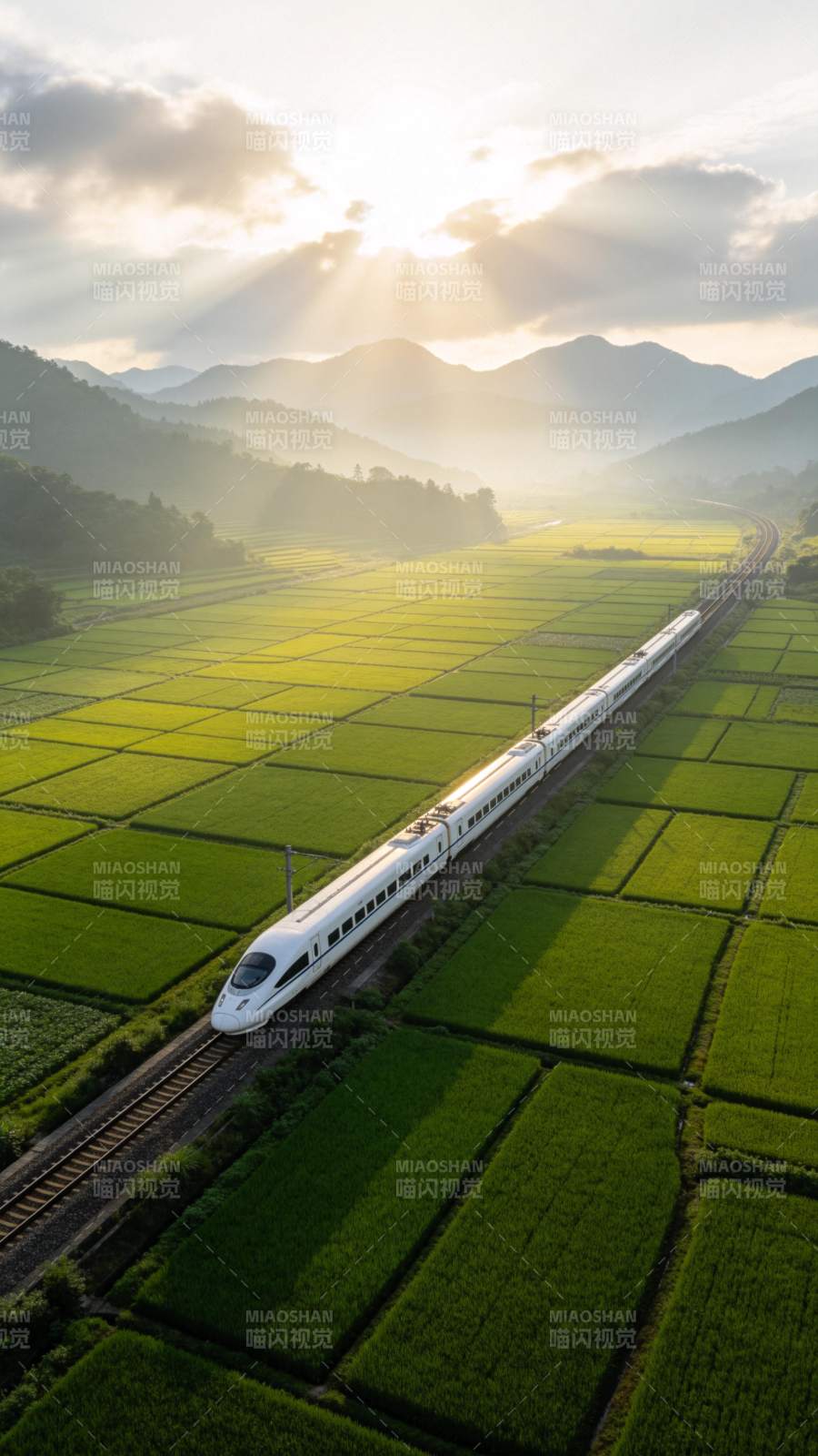 高铁穿行稻田间图片
