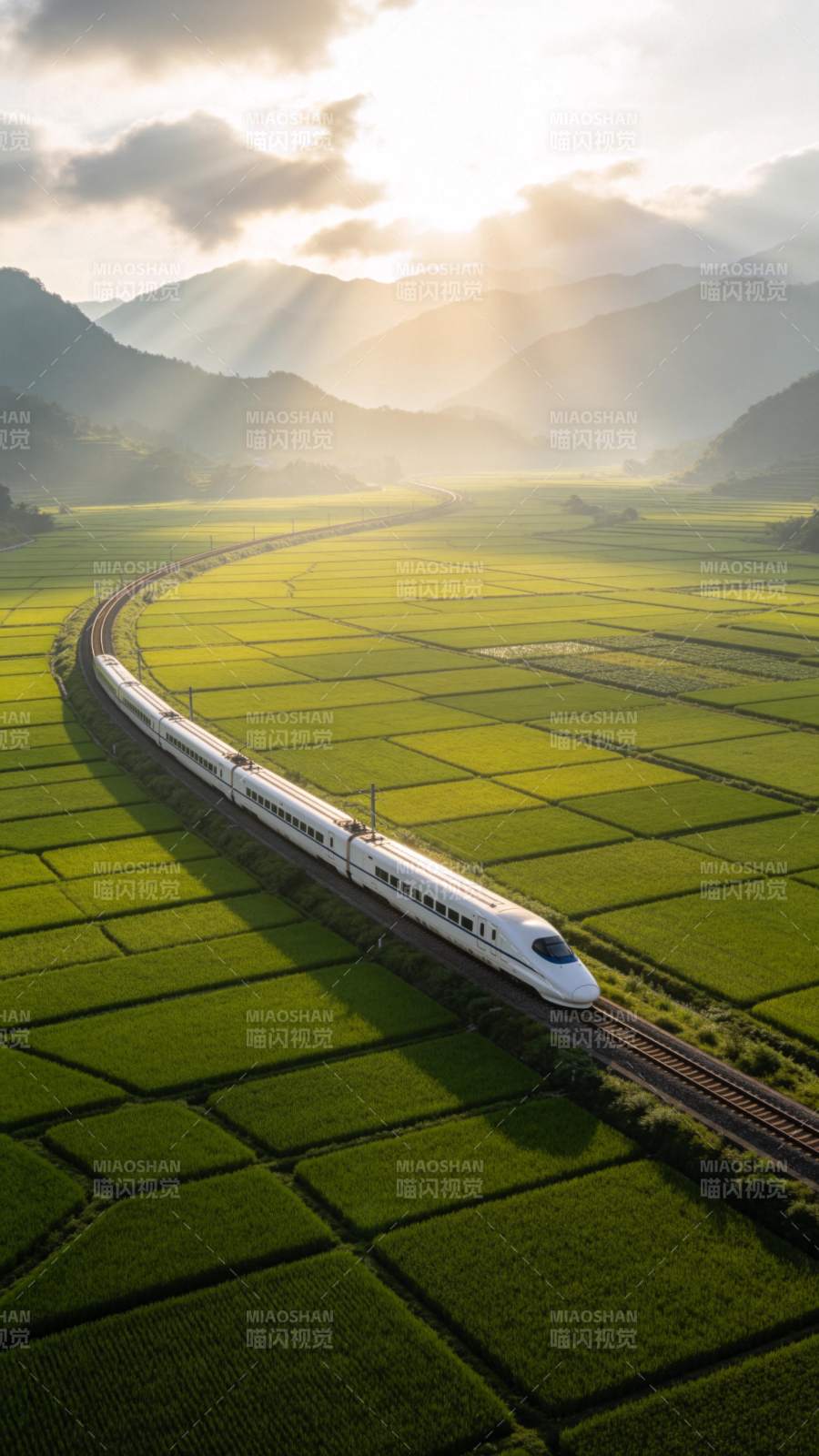 高铁穿行于晨光中的绿色稻田与山峦之间图片