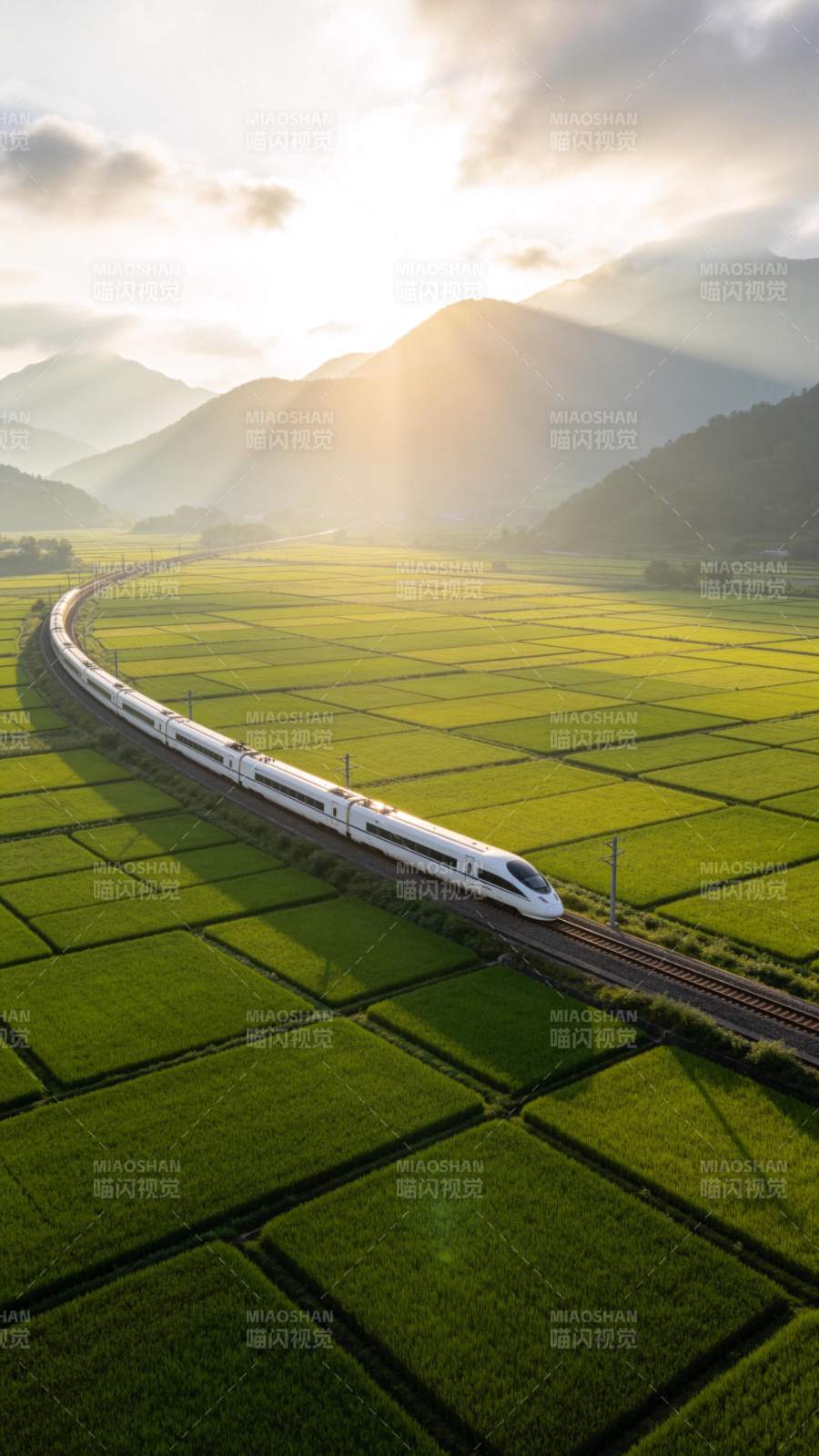 高铁穿行稻田间图片