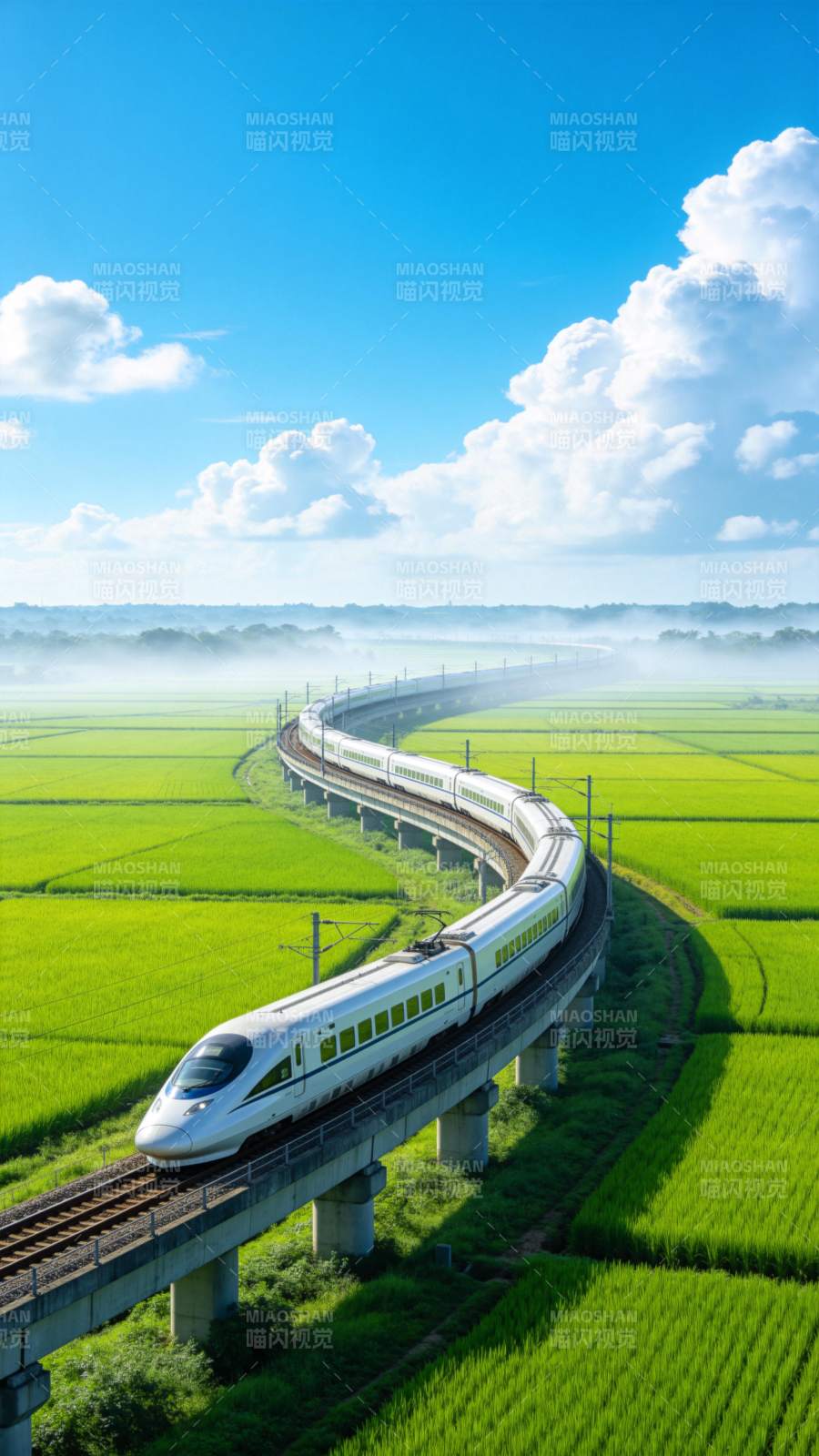 高铁穿行绿野间图片