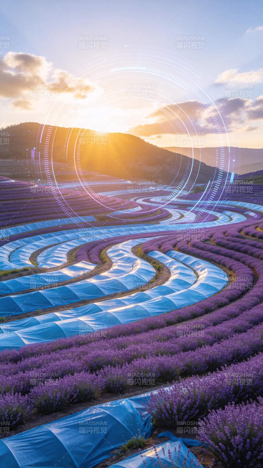 紫韵田园日出图片