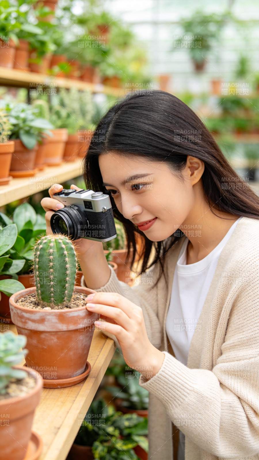 女子拍摄仙人掌图片