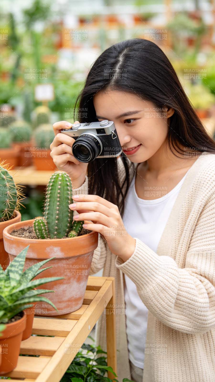 女子拍照仙人掌图片