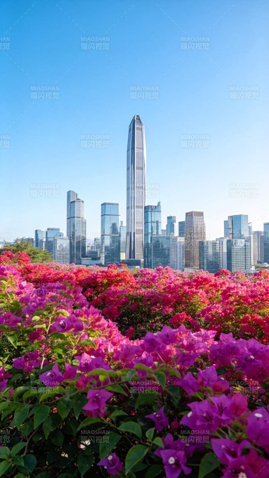 花海映高楼图片