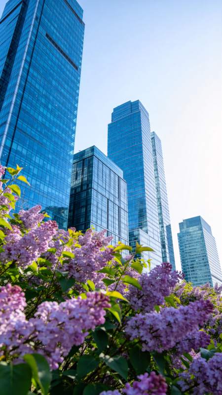 紫花映高楼图片