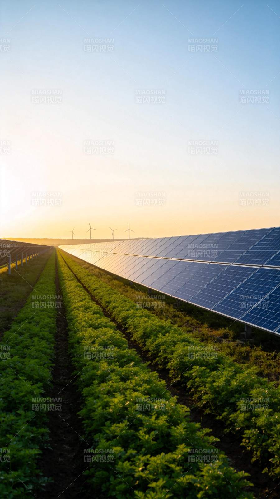 光伏农田共融景图片