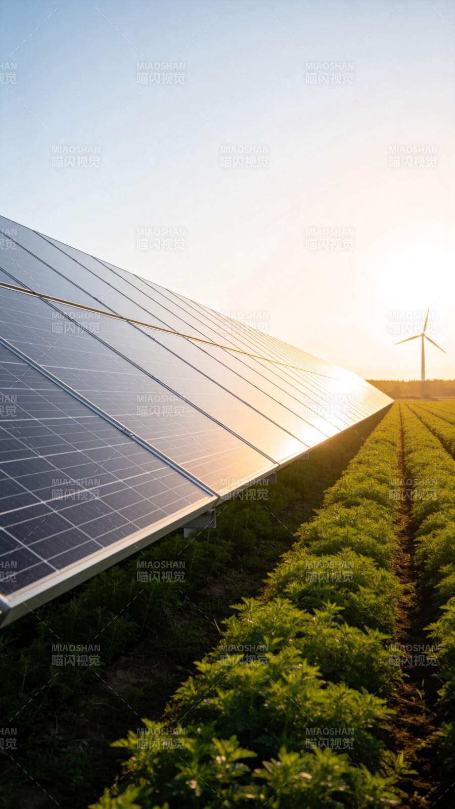 光伏田园风光图片