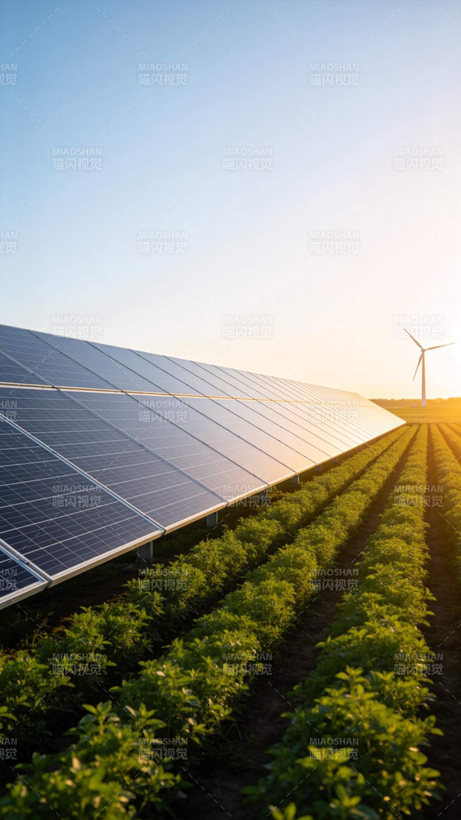光伏与风能共舞图片