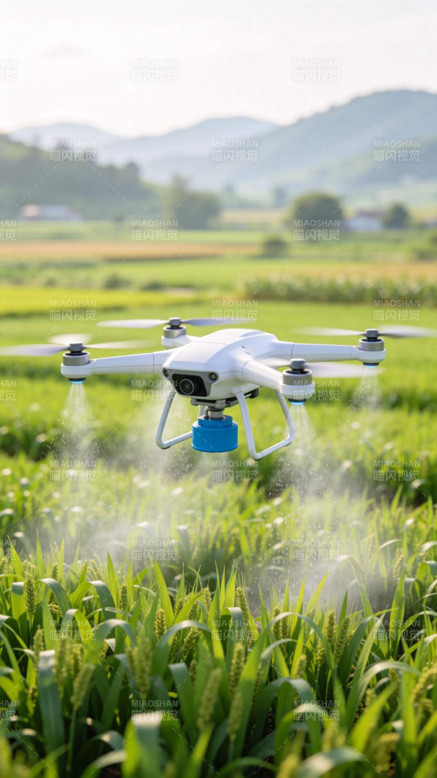 无人机喷洒农田图片