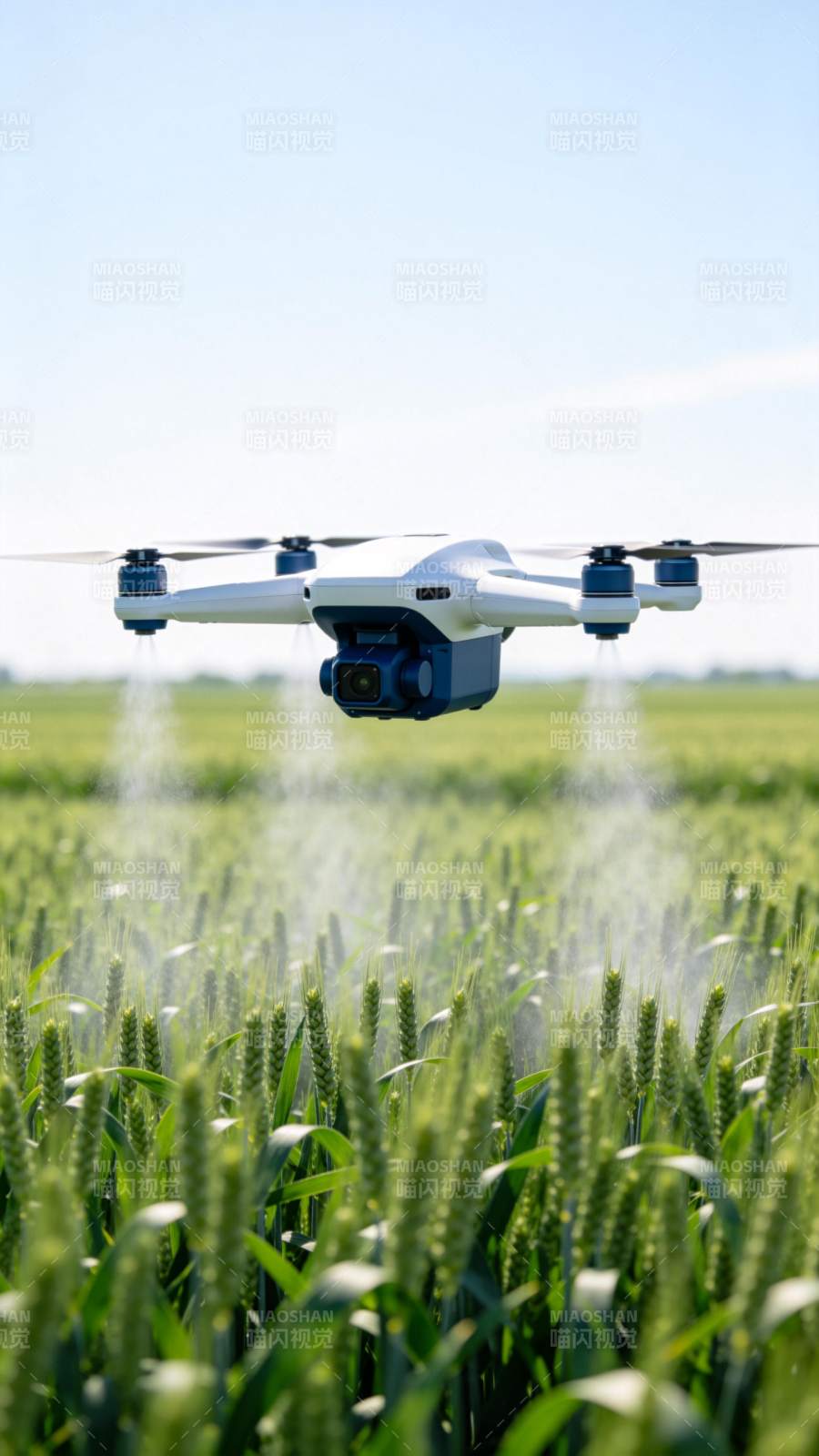 无人机喷洒农田图片