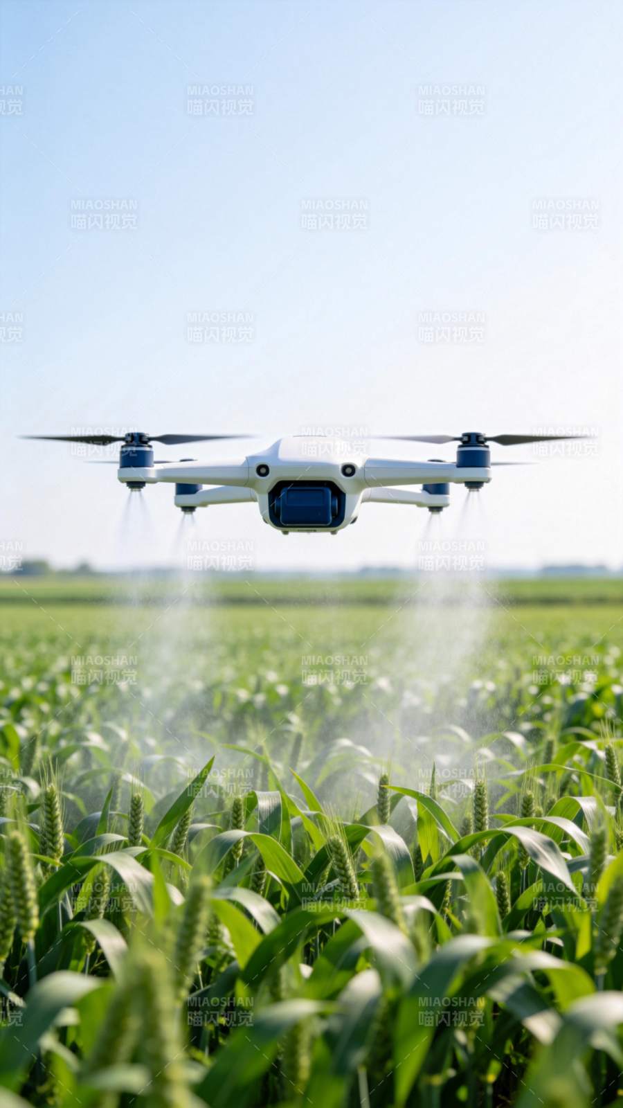 无人机喷洒农田图片